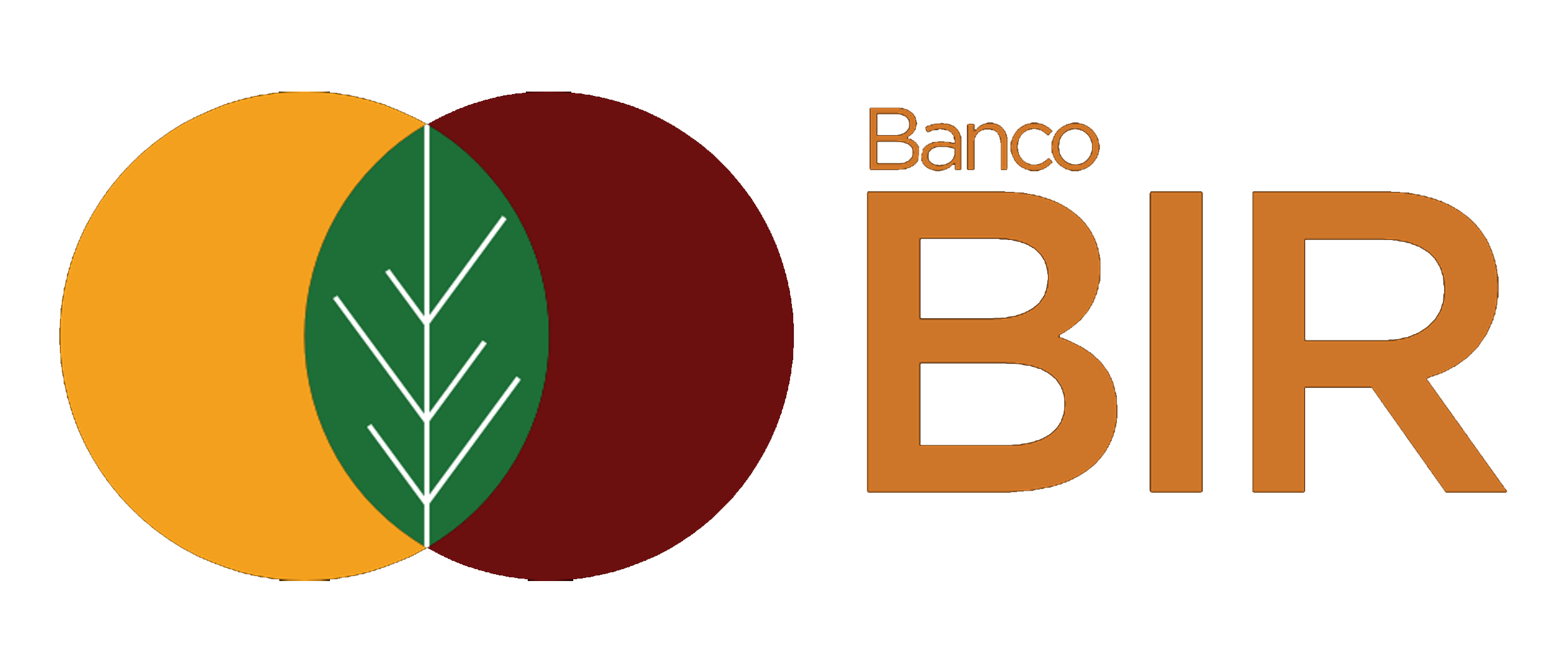 Bir