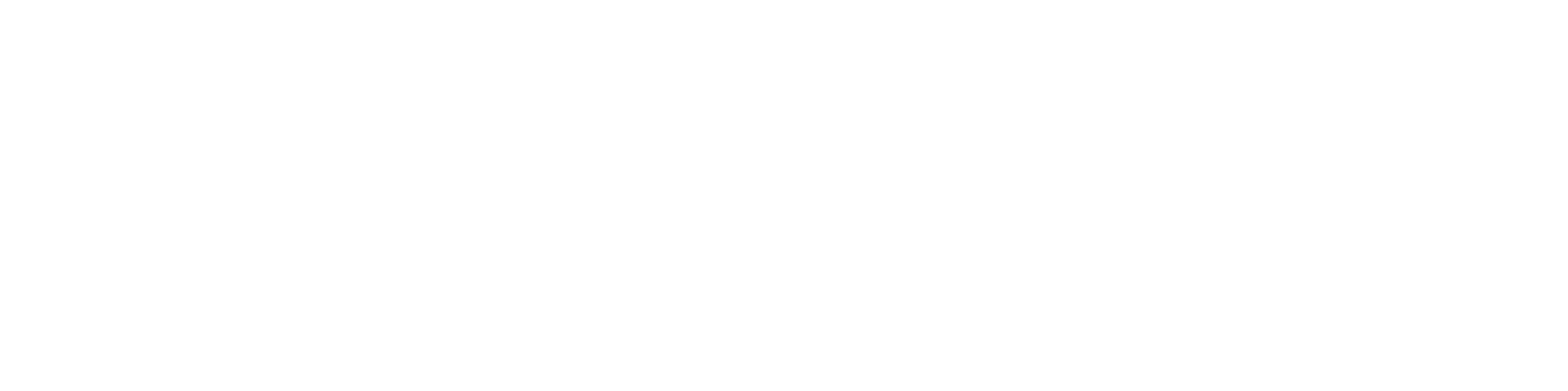 Zap Viva
