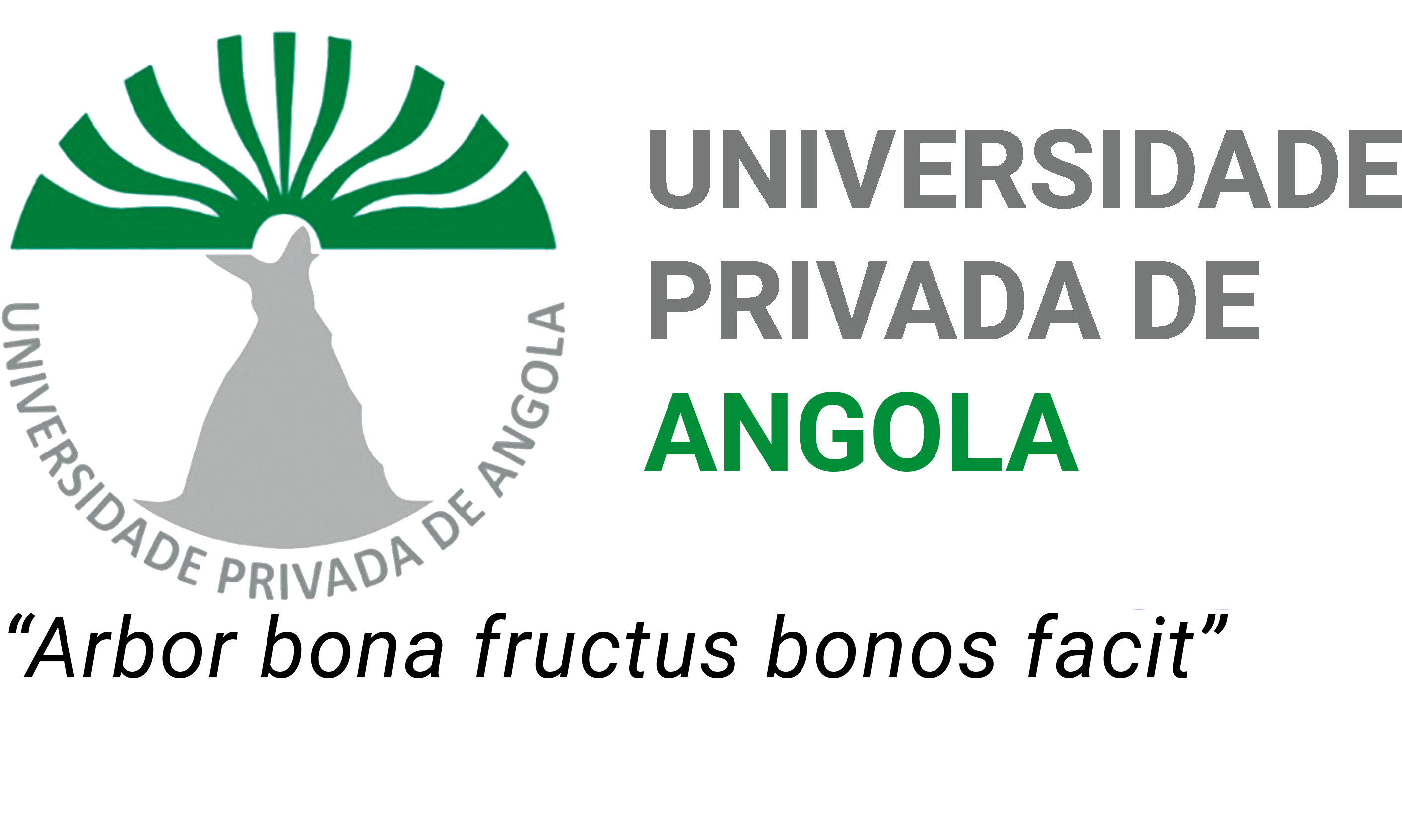 Universidade Privada de Angola